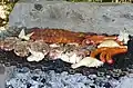Asado