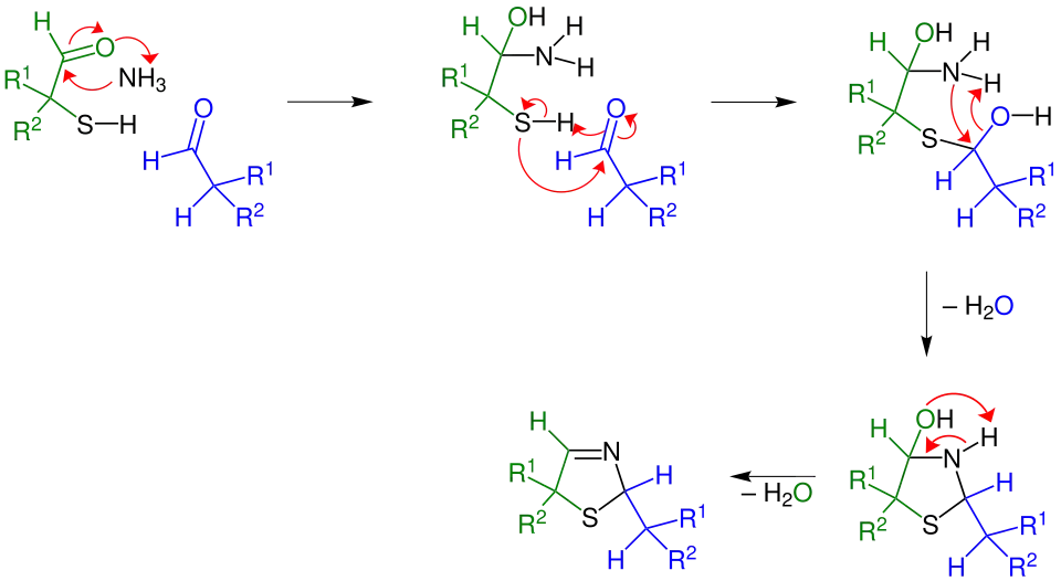 Mechanismus