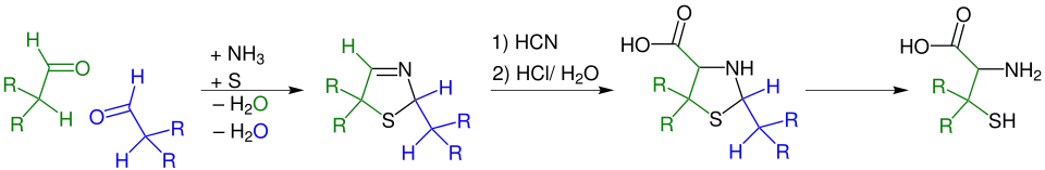 Asinger-Reaktion als erster Schritt zu Herstellung von Cystein bzw. Penicilliamin