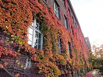 Flügel entlang der Berliner Allee