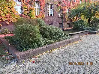 Hochbeete vor dem Gebäudeflügel Berliner Allee