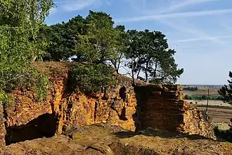 Felsformation mit Bäumen auf dem Lehof-Felsen, im Hintergrund weite Felder unter blauem Himmel