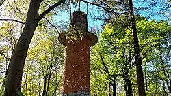 Aussichtsturm auf dem Waseberg