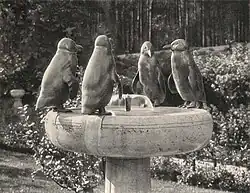 Pinguinbrunnen von August Gaul