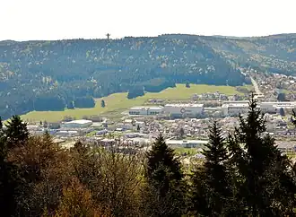 Blick vom Lembergturm (1047 m ü. NN) auf den Hochwald oberhalb von Gosheim