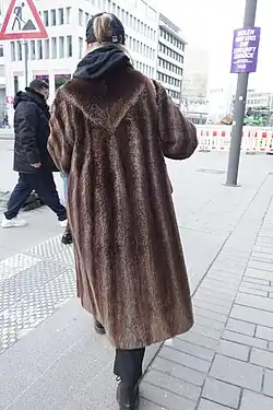 Älterer Nutriamantel („Kamtschatka“-Schur, ausgelassen) (Foto 2025)