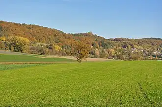 Blick auf Bürglischloss aus Dörflingen