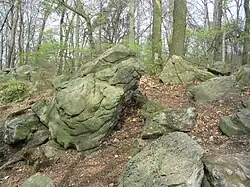 Felsen (Wallbrunn) mit Verwitterungsformen.