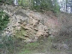 Vor 280 bis 300 Mio. Jahren war das Gneisgebirge weitgehend abgetragen. In die permische Landoberfläche schnitt (am Wannberg östlich der Böllsteiner Höhe) ein Fluss eine Rinne (von oben links schräg nach rechts) ein und füllte sie mit Geröll und Sand.