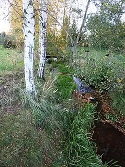 Großer Schradener Binnengraben