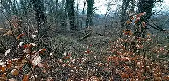 Grundmauerreste von Gebäuden im Osten des südlichen Teils der Burgstelle