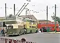 Trolleybusse aus Wolverhampton (vorn) und Derby, im Hintergrund ein BMMO D9 Dieselbus von Miland Red
