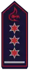 Stellv. Abteilungskommandant (als HLM)