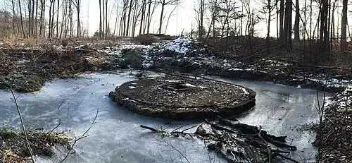 Ba 349 "Natter" Stellung im Hasenholz 2