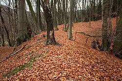 Wall der Hauptburg im Nordosten