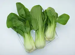 Shanghai Pak Choi – leicht grünlicher