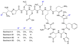 Bacitracin (Bacillus subtilis)