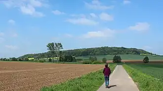Blick von einem Feldweg bei Löwenhagen nordostwärts zum bei Güntersen gelegenen Backenberg
