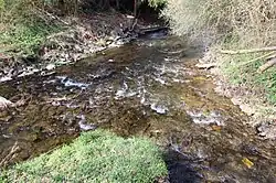 Zufluss des Dombach (rechts) in den Emsbach in Erbach