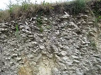 Kalksteinschichten am Hagenberg