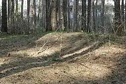 Buckelgräber am Galgenberg