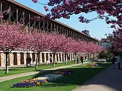 Gradierwerk (im Volksmund „Saline“)