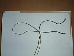 Leseknoten zum Umblättern der Aktenblätter