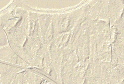 im LIDAR-Scan ist in verschiedenen Grautönen das Relief des Binnendünengebiet Baerler Busch zu erkennen