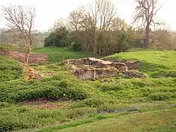 Ruinen aus dem 14. Jh., möglicherweise Baginton Castle