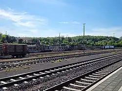 Holzverladung mit speziellen Greifarmen am Bahnhof Oker im Harz, 2021