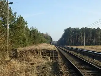 Der Bahnsteig des 1998 stillgelegten Bahnhofs Hohenschöpping von Norden betrachtet. Links vom Bahnsteig Baumbewuchs auf der Trasse des 1945 demontierten Gleises, rechts vom Bahnsteig das heute benutzte Gleis, ganz rechts das Werksgleis der Firma Bombardier mit Stromschiene und Oberleitung