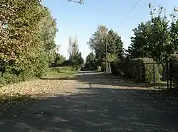 hinter den Büschen links verläuft der Bahndamm