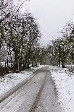 Baiertaler Weg, historische Verkehrsader Nußloch - Baiertal