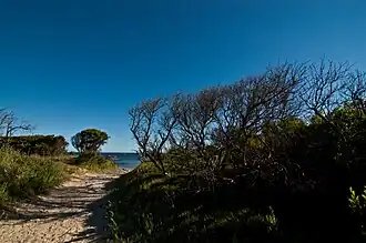 Der Strandbereich Bakers Beach