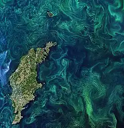 Phytoplanktonblüte nahe der Ostseeinsel Gotland im Juli 2019