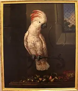 Molukkenkakadu, 1716, Villa medicea di Poggio a Caiano