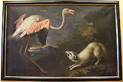 Flamingo und Fuchs, 1717, Villa medicea di Poggio a Caiano