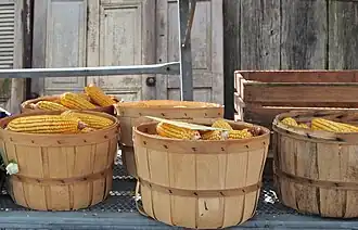 Mit Mais gefüllte runde Spankörbe