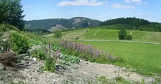 Blick auf den Bastenberg von OSO