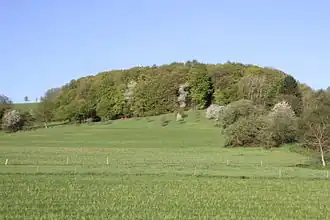 Der Bauersberg von Strötzbach aus gesehen