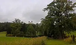 Die Baumgruppe in Maria Plain