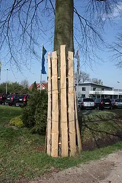 Baumschutz an einer Baustelle, Bundesstraße 6