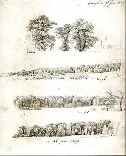 Baumstudien, 1809