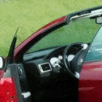 Größerer Ausschnitt, bikubisch hochskaliert (200 x 200 Pixel)