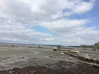 Der Strand bei Port Clements