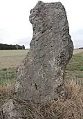 Megalith von Pont Champion
