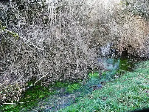 Die Beauronne unterhalb von La Roche Pontissac