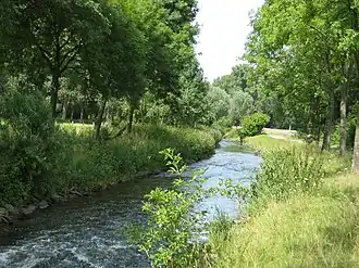 Beeckmündung bei Honsdorf