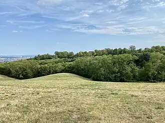 Bellevuehöhe von Norden