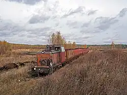 TU6A-1816 mit leeren Torfloren im Torfmoor